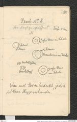 Seite 66, Tagebuch "Dürnstein | Wöbling - neol. | Höbenbach | Kl. Rust | Noppendorf" (NHMW-PRAE-BBB-45)